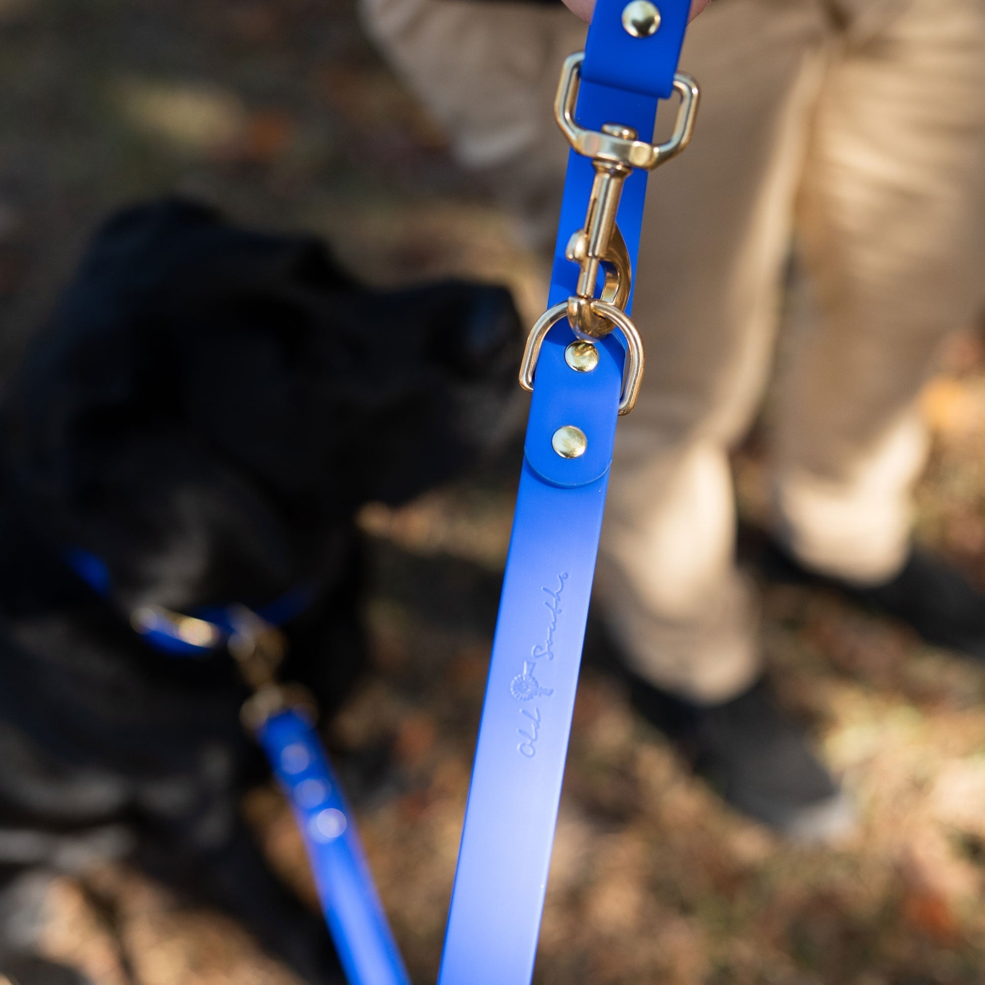 OldSouthApparel_Good Boy - Dog Leash