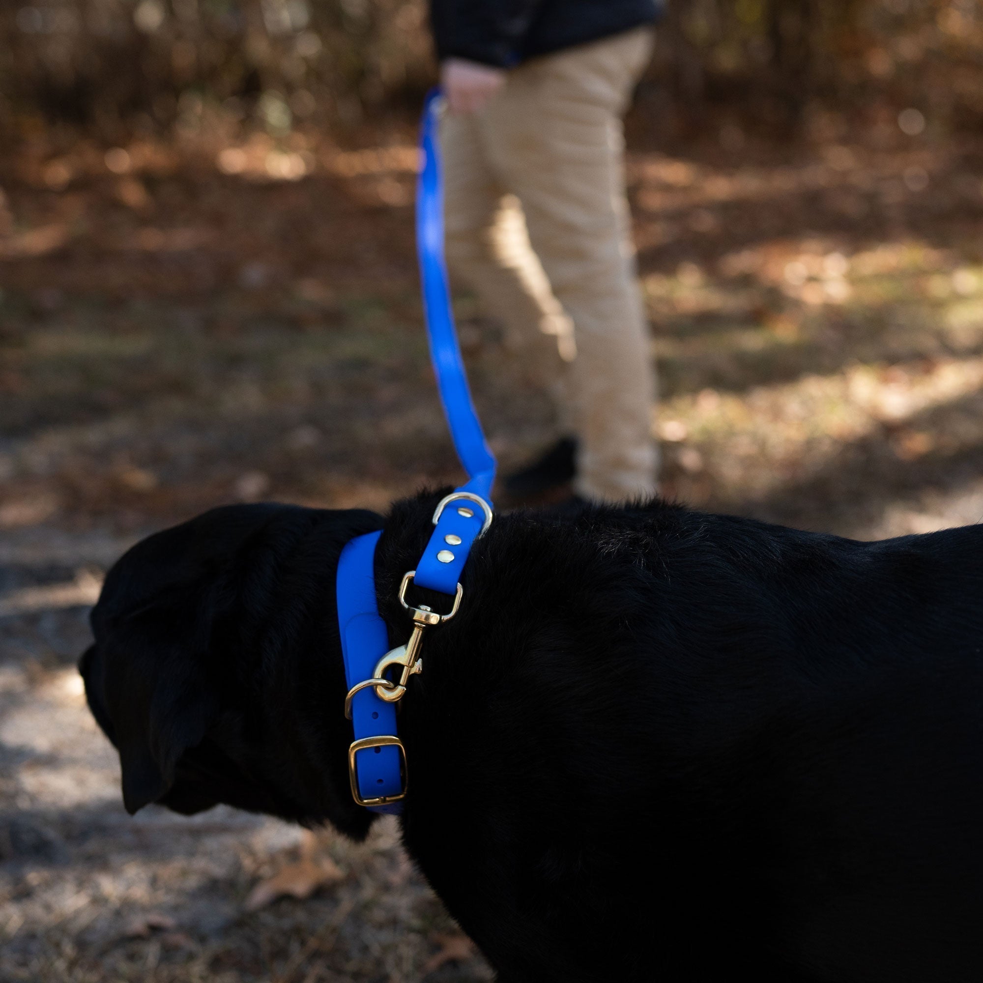 Good Boy - Dog Leash - Old South Apparel