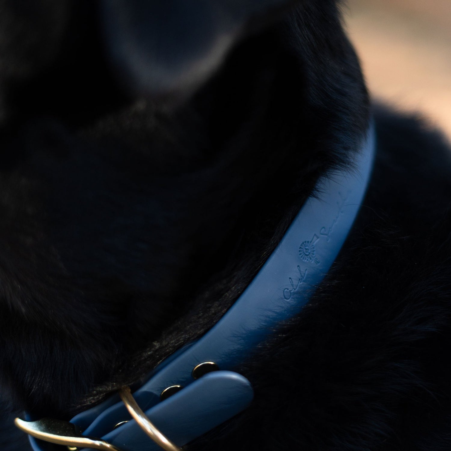 OldSouthApparel_Good Boy - Dog Collar