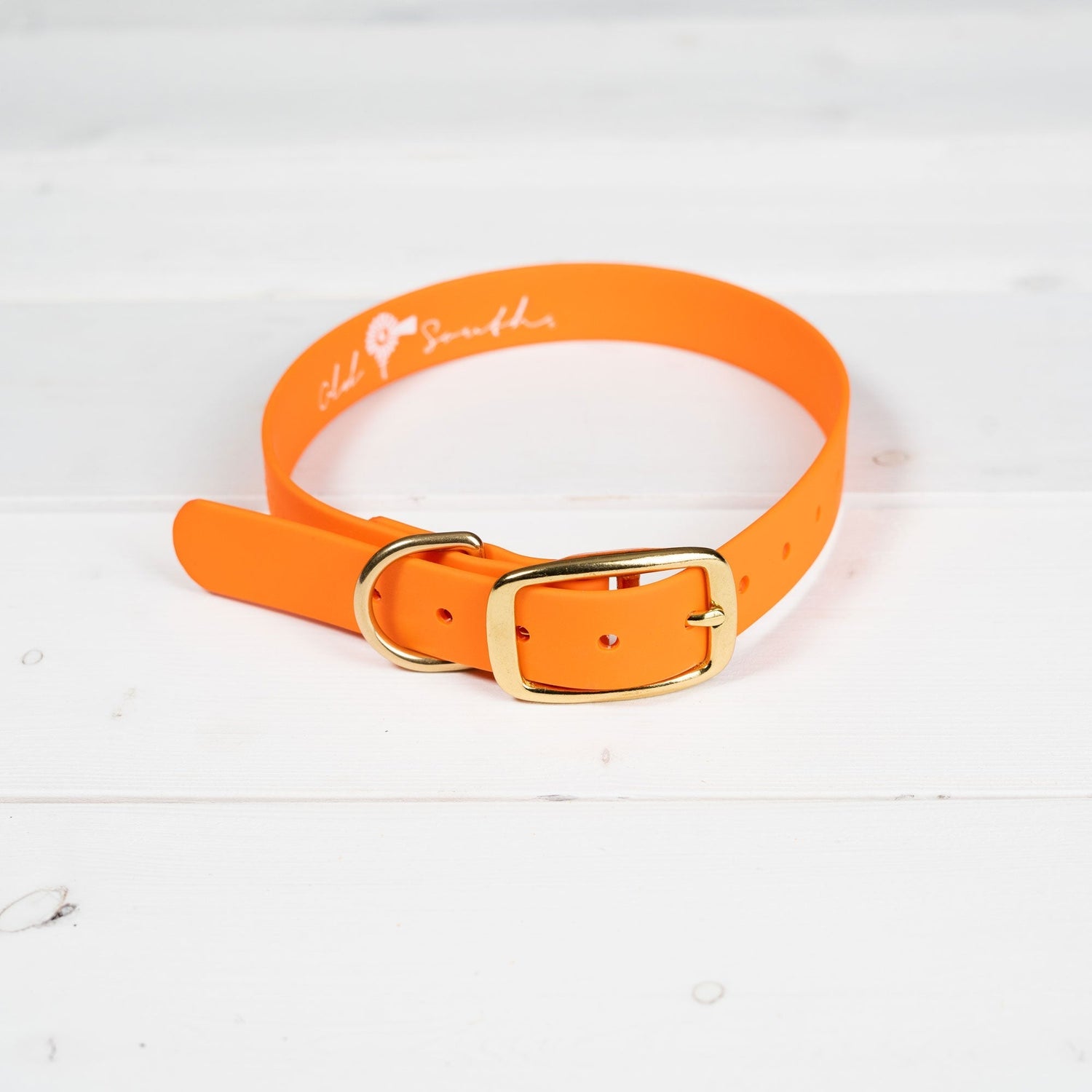 OldSouthApparel_Good Boy - Dog Collar