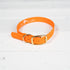 OldSouthApparel_Good Boy - Dog Collar