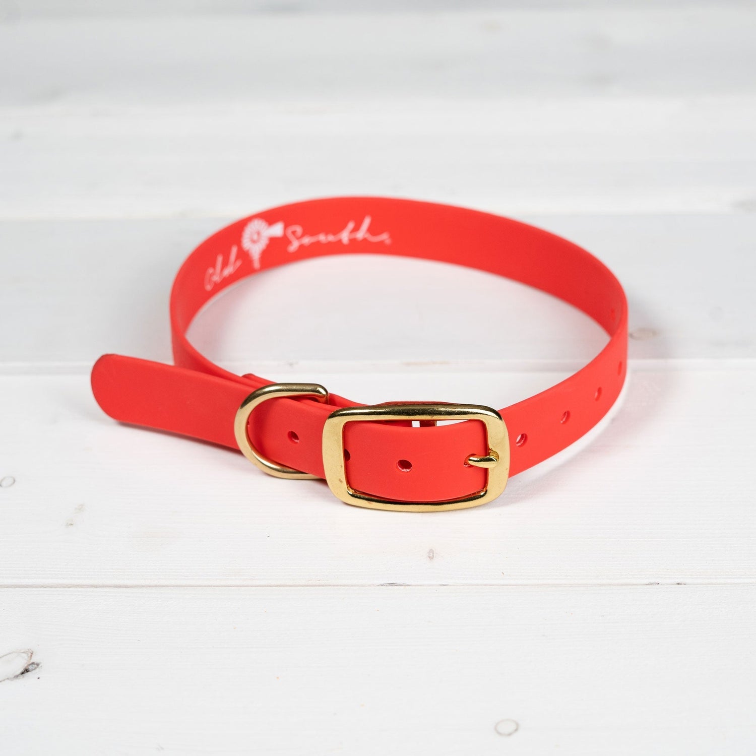 OldSouthApparel_Good Boy - Dog Collar