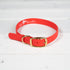 OldSouthApparel_Good Boy - Dog Collar