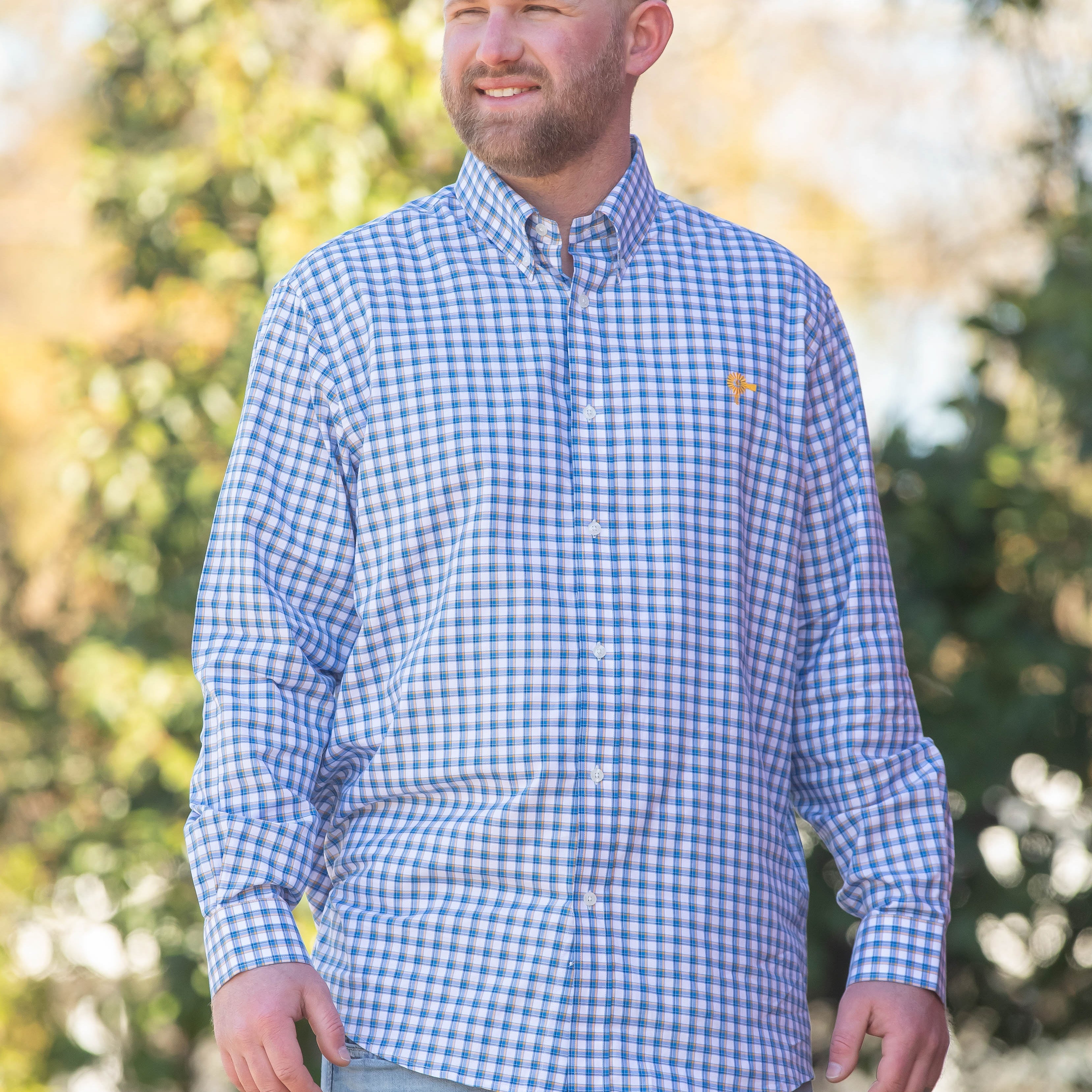 Standard - Button Down