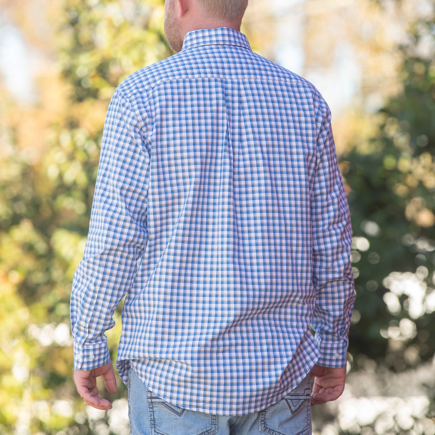 Standard - Button Down