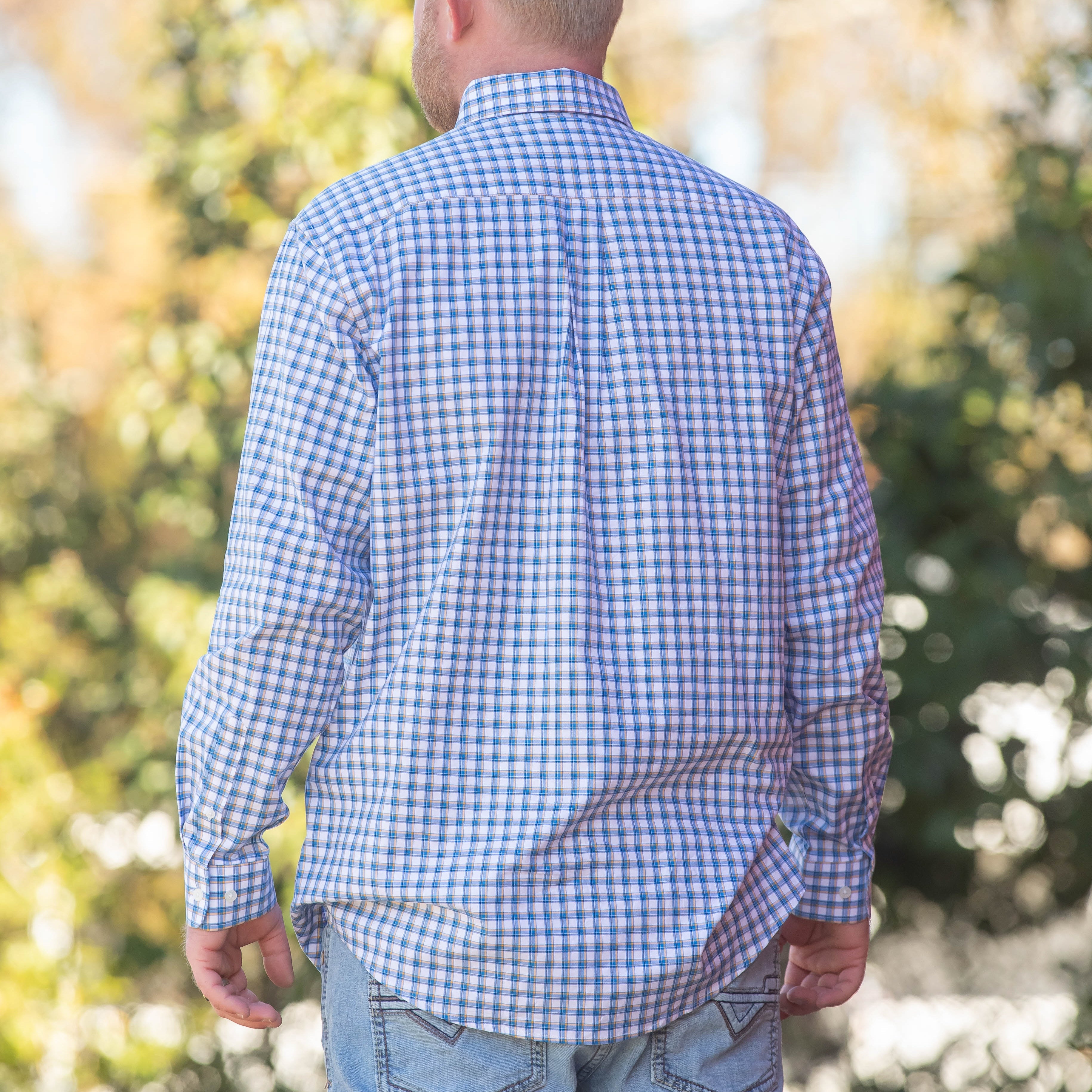 Standard - Button Down